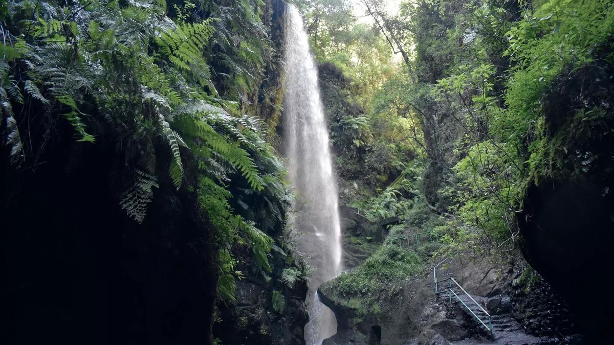 El premio a La Palma como destino sostenible sitúa a “la isla como uno de los principales referentes en turismo responsable”