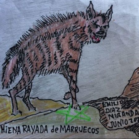 Hiena rayada de Marruecos