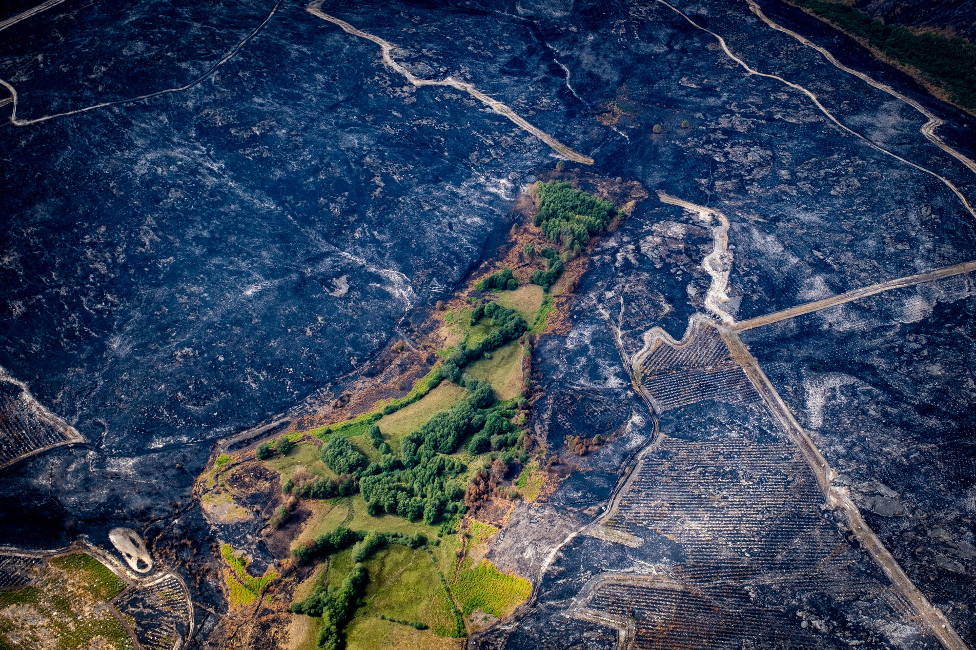 30 agosto 2025. Villardevós. Ourense. Greenpeace/ Pedro Armestre