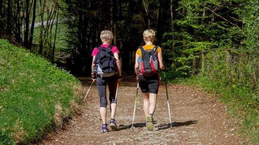 Tres modelos de bastones de trekking para hacer senderismo