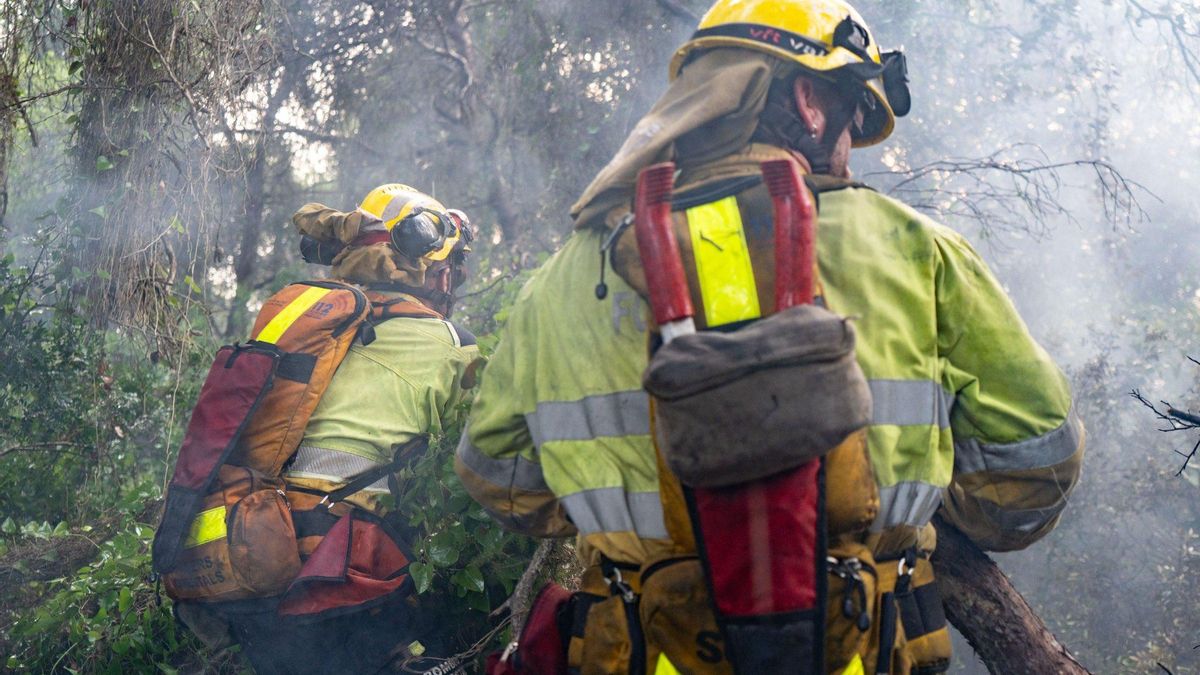 CCOO denuncia el colapso del sistema valenciano de emergencias tras el despliegue de la UME en el incendio de El Saler