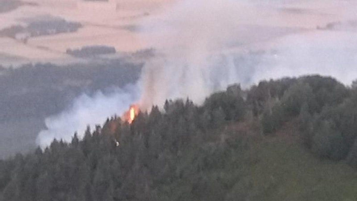 Los Bomberos intentan controlar un incendio originado en el monte de Galarreta, en Álava