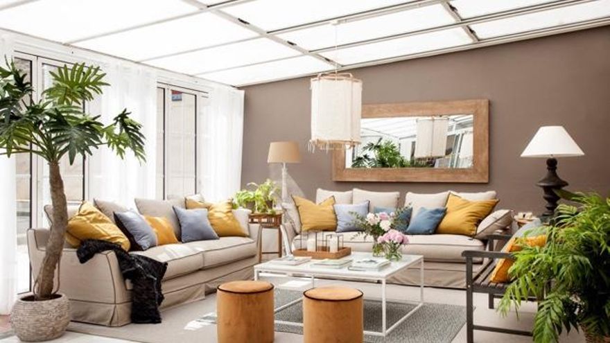 5 árboles que puedes tener en el salón (y hacer felices)