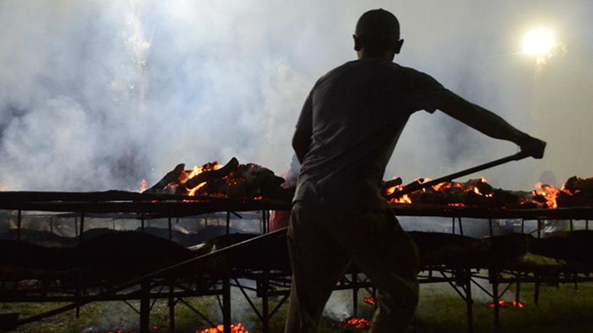 Calendario especial de eventos turísticos en la provincia de Buenos Aires del 20 al 27 de noviembre