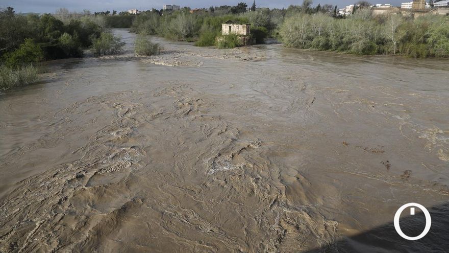 La crecida del Guadalquivir también llena los embalses