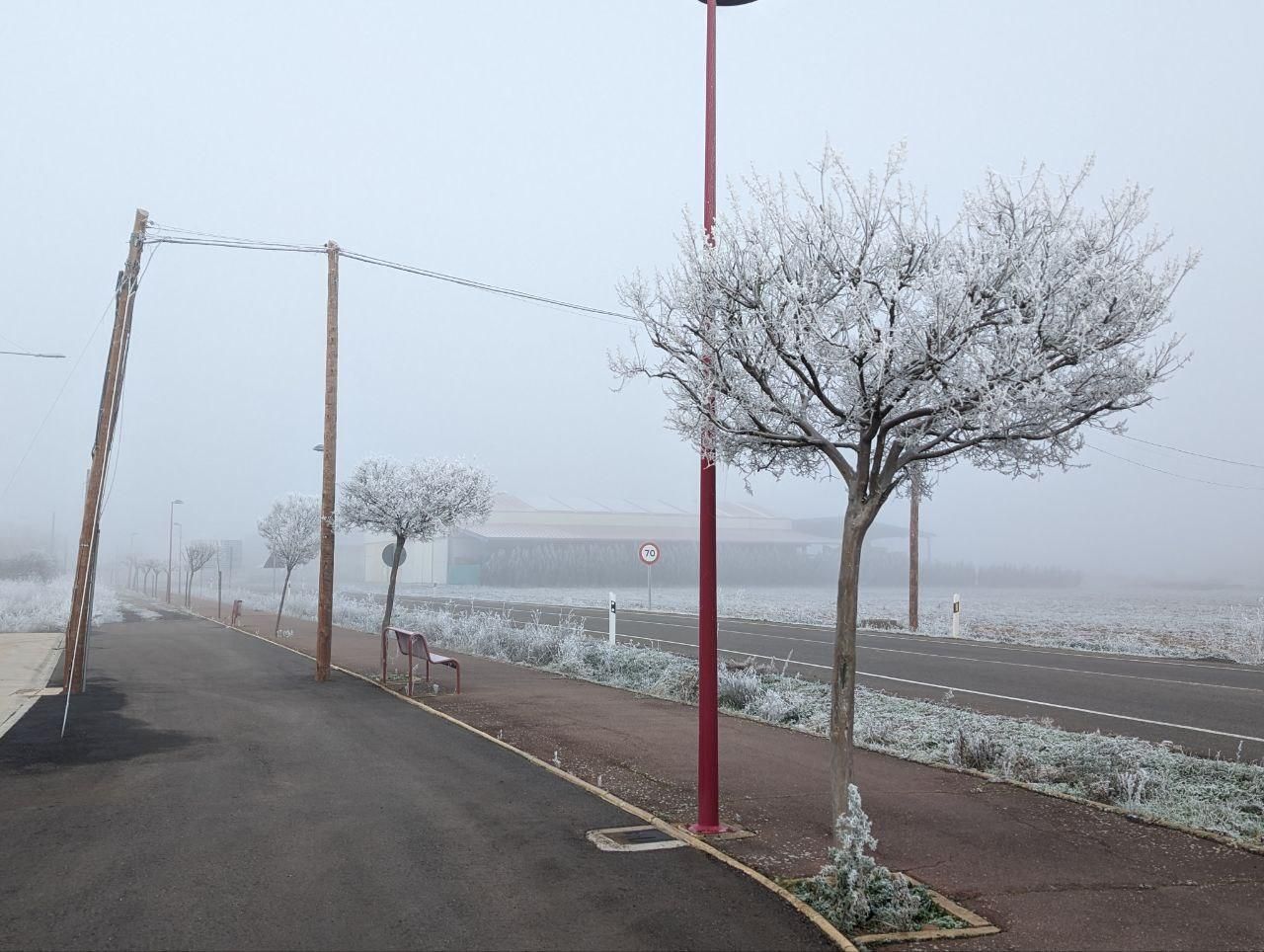 La cencellada pinta de blanco la comarca del Páramo leonés