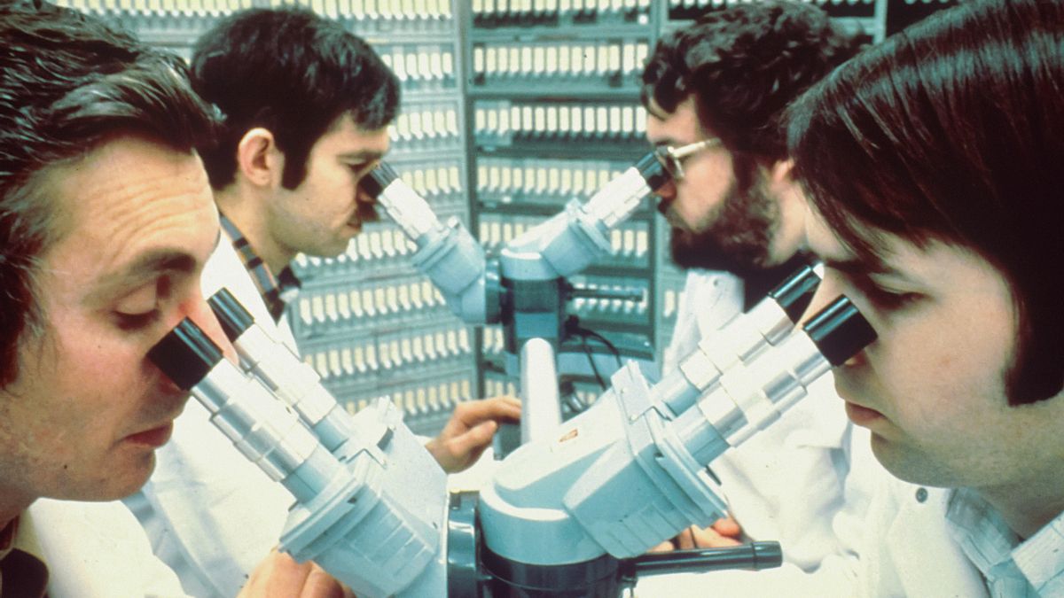 Un macroestudio muestra que los científicos llegan a conclusiones diferentes a partir de los mismos datos