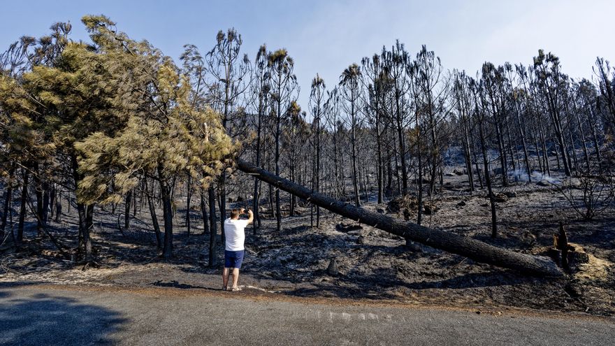 Los trabajos de extinción y la lluvia frenan el incendio en Ávila, por fin bajo control