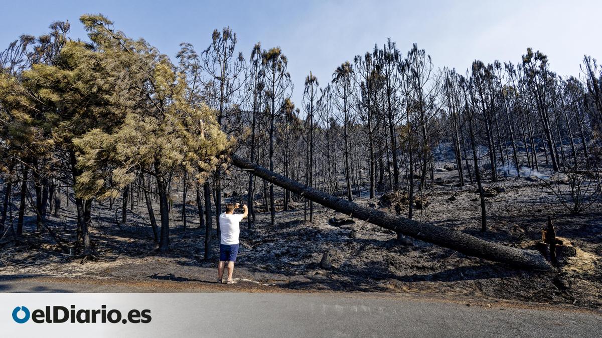 Los Trabajos De Extinci n Y La Lluvia Frenan El Incendio En vila Por 