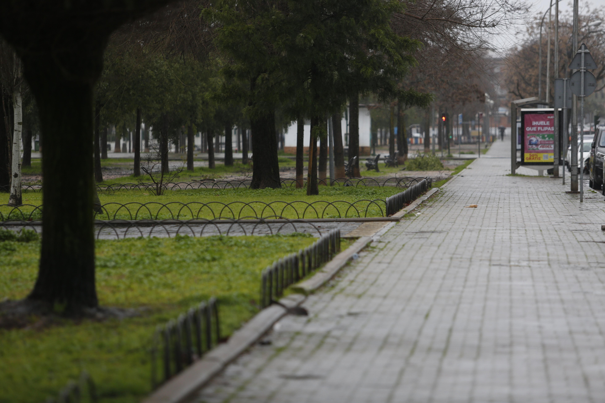 La borrasca Leonardo a su paso por Córdoba