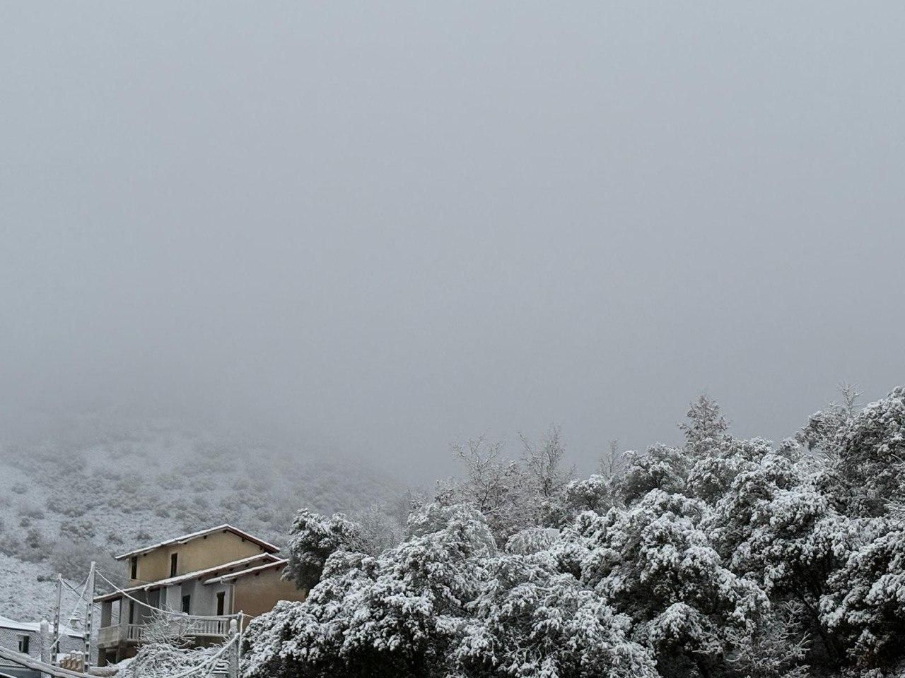 Nieve en Folgoso de la Ribera.