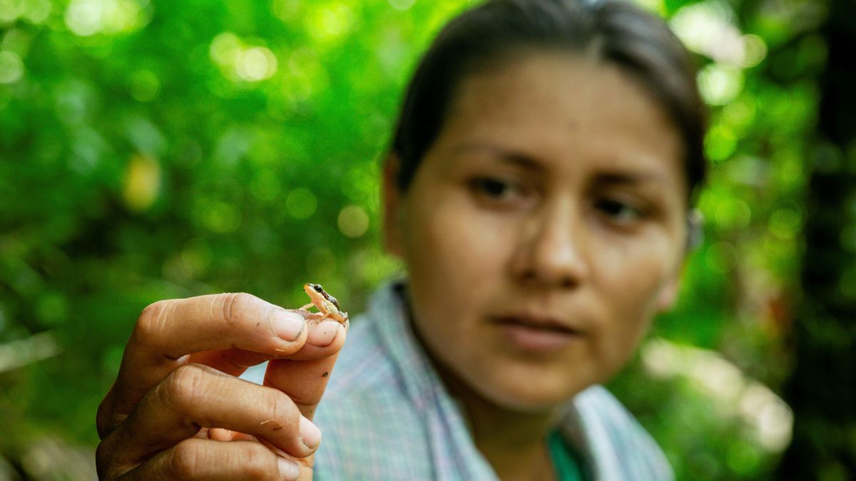 Avita Taricuarima es la primera indígena peruana en formar parte de The Explores Club, una asociación internacional de científicos con más de 100 años de antigüedad. Foto: Patrick Murayari