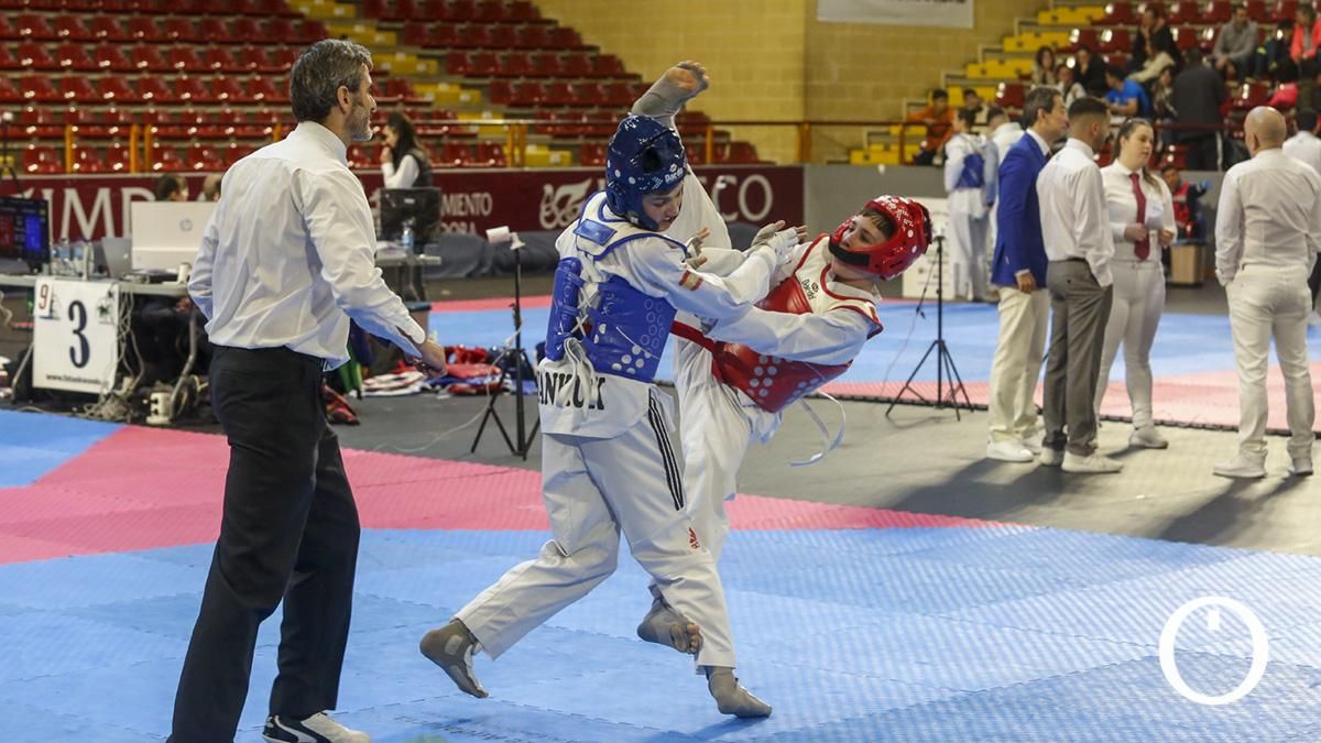 Andalucía deja su impronta en el Open Internacional de taekwondo