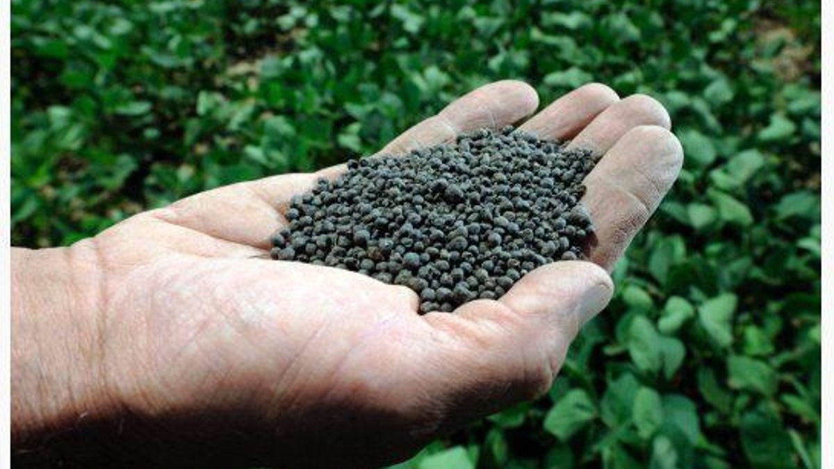 Fertilizantes