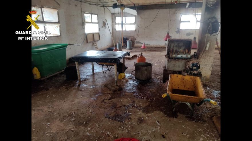 Matadero precintado en Zurgena (Almería).