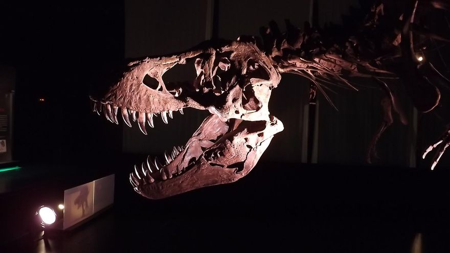 Dinópolis es uno de los grandes referentes turísticos de Teruel.