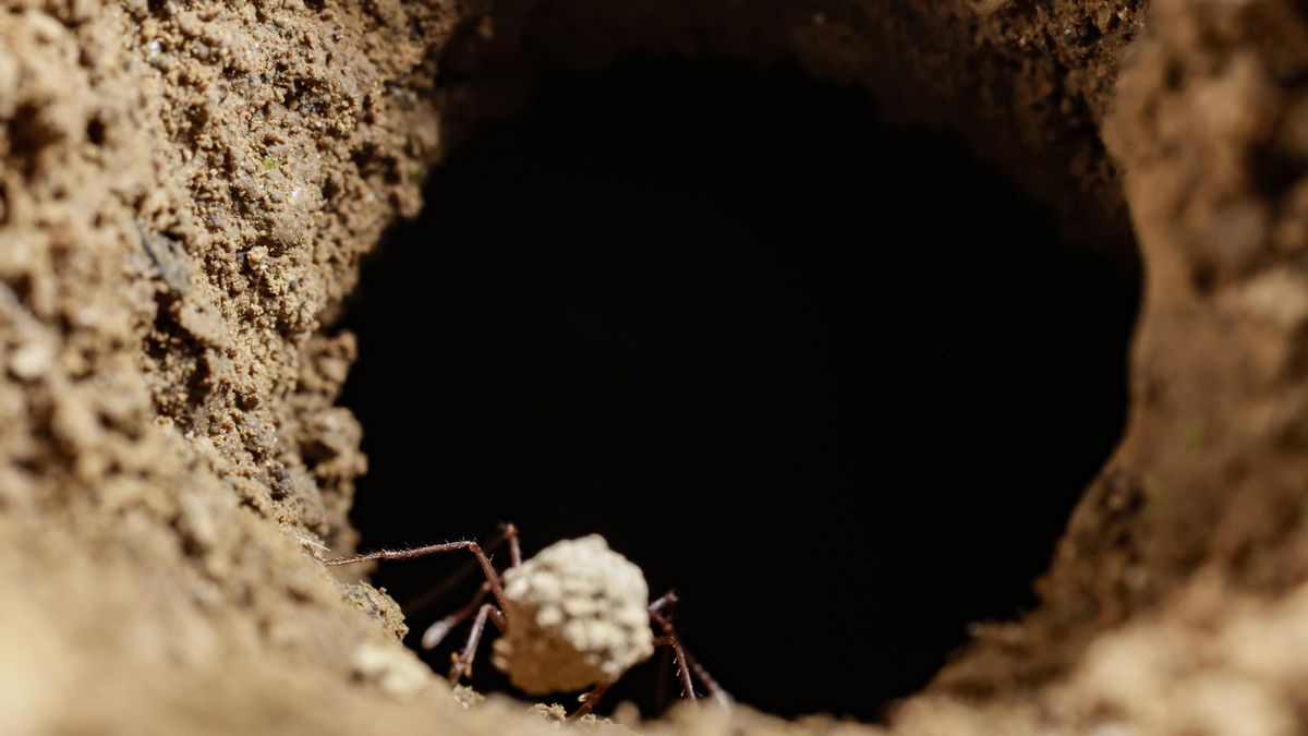 La quiebra del ‘nosotros’ y los peligros del ‘yoísmo’