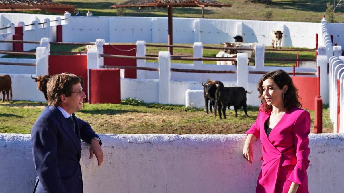 Almeida entrega a Ayuso la Venta del Batán para que organice ferias, corridas de toros con muerte y visitas escolares