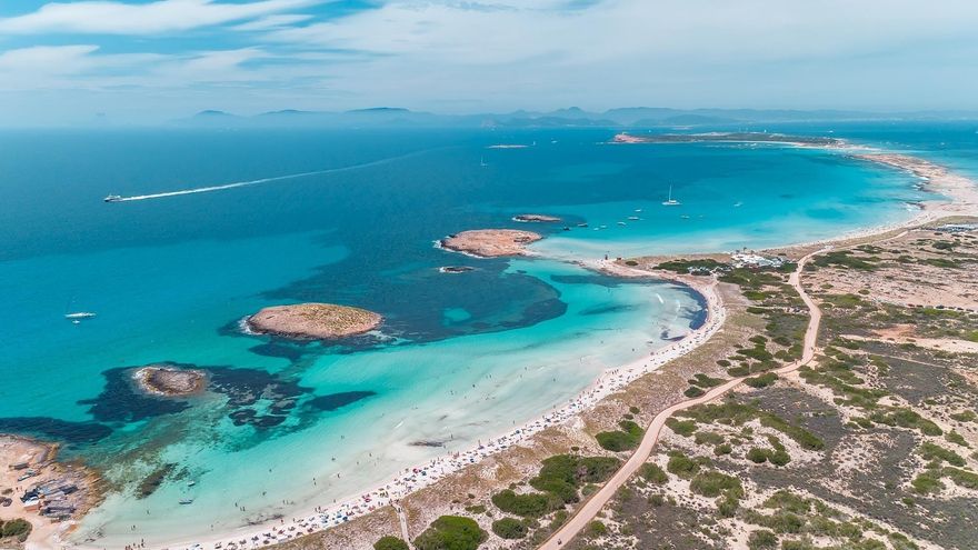 Formentera plantará casi medio millón de árboles para enfriar su temperatura entre 1 y 3 grados