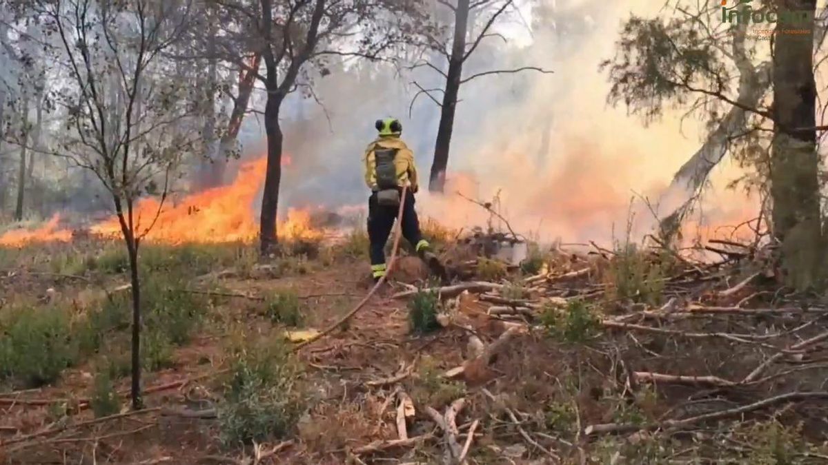 Castilla-La Mancha espera al día de la huelga por Gaza para publicar los servicios mínimos del transporte y el sector incendios