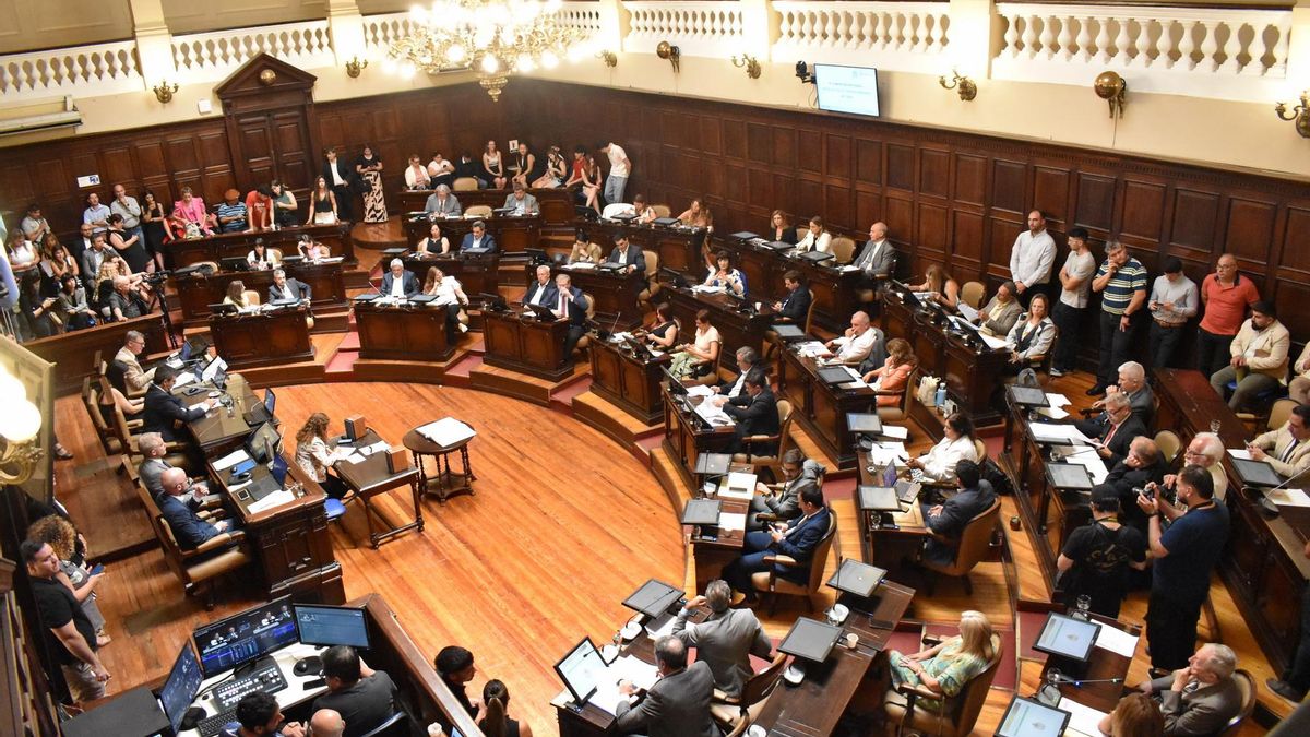La Cámara de Diputados dio media sanción.
