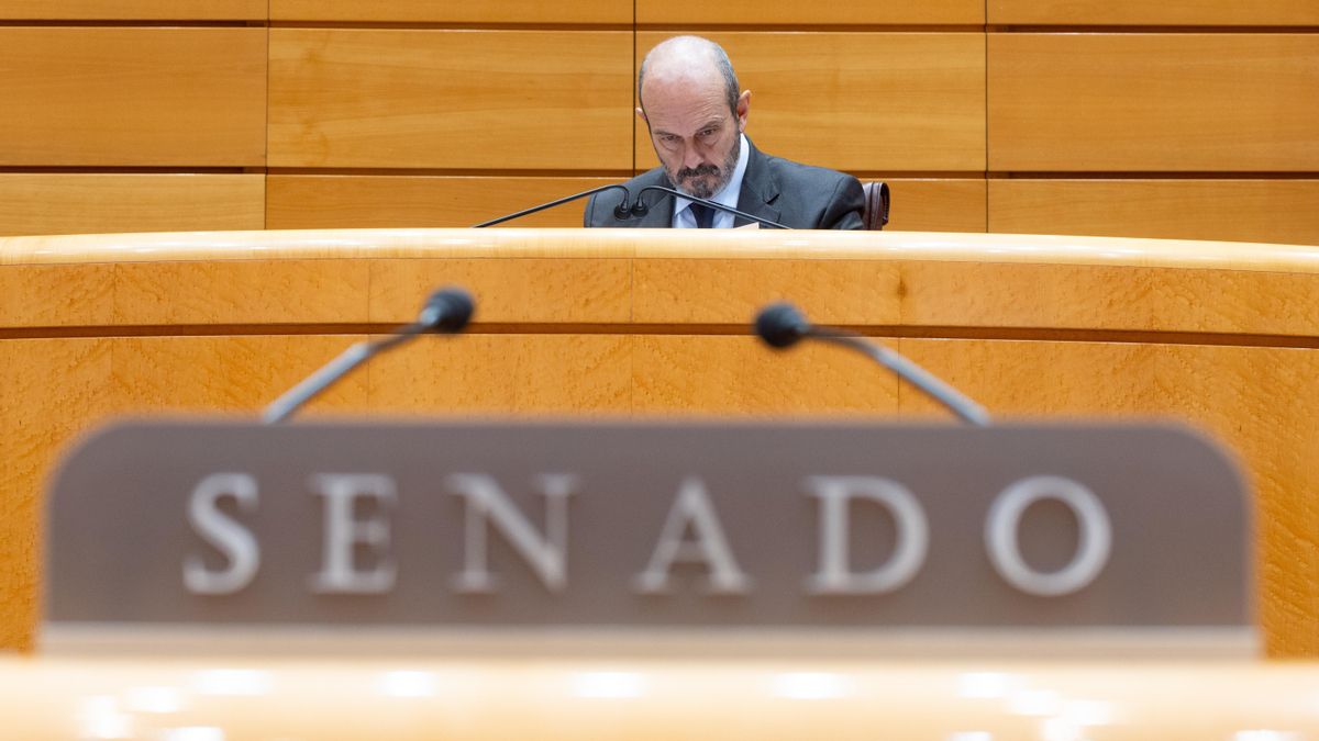 El Senado regula el uso de la IA para parlamentarios y trabajadores