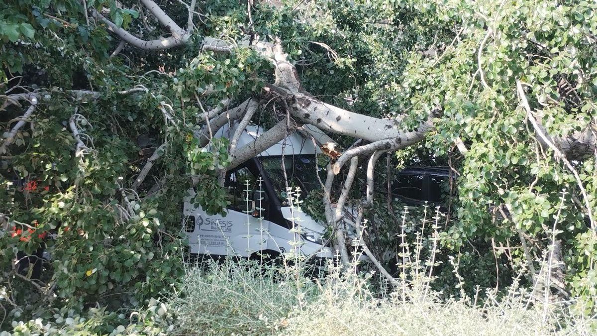 La furgoneta sepultada bajo el árbol caído en la calle Méndez Álvaro