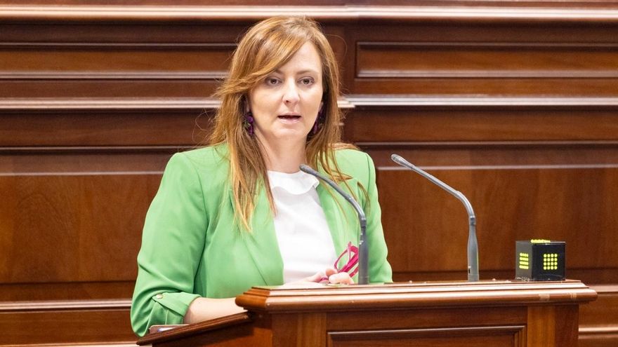 Un juez tramita una denuncia contra la consejera de Seguridad por acoso laboral al exjefe de la Policía Canaria