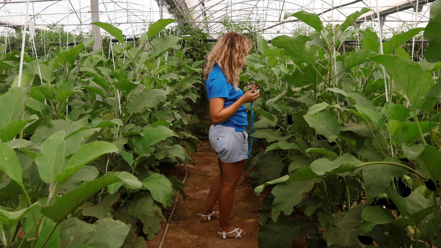 Un total de 25 explotaciones de la región ofertan este año estancias formativas en la nueva edición del ‘Erasmus Agrario’