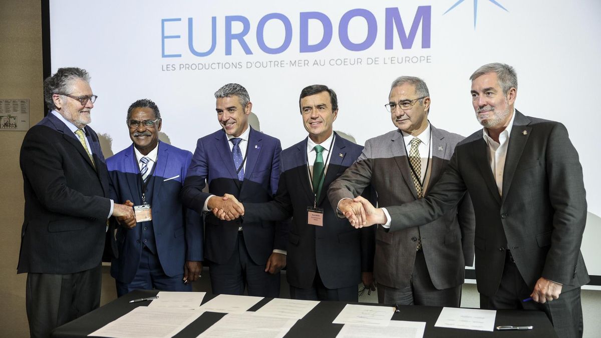 Clavijo (primero por la derecha), este jueves en Bruselas (Bélgica) en la Conferencia de las Regiones Ultraperiféricas (RUP) frente al Marco Financiero 2028-2034.