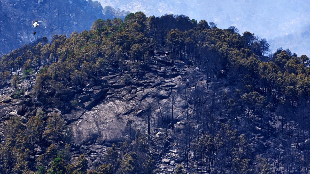 Castilla y León declara la alerta por riesgo extremo de incendios entre el 11 y el 13 de agosto