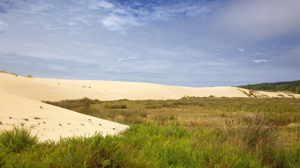 Las asombrosas dunas que cambian el paisaje de estas playas de Galicia bañadas por el Atlántico