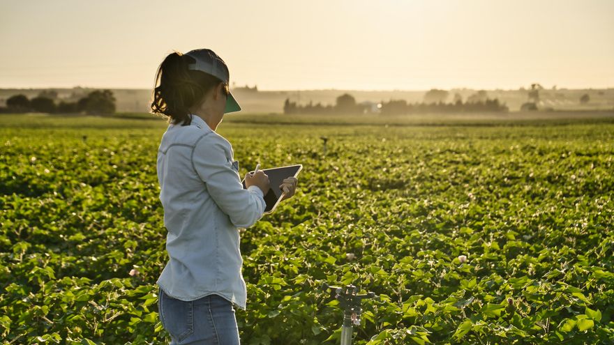 El anticipo de la PAC que se pagará el 16 de octubre llegará al 70% para dotar de más liquidez a los agricultores