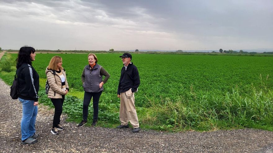 La huerta milenaria de Movera peligra por una gran planta solar: "El Ayuntamiento de Zaragoza nos deja de lado"