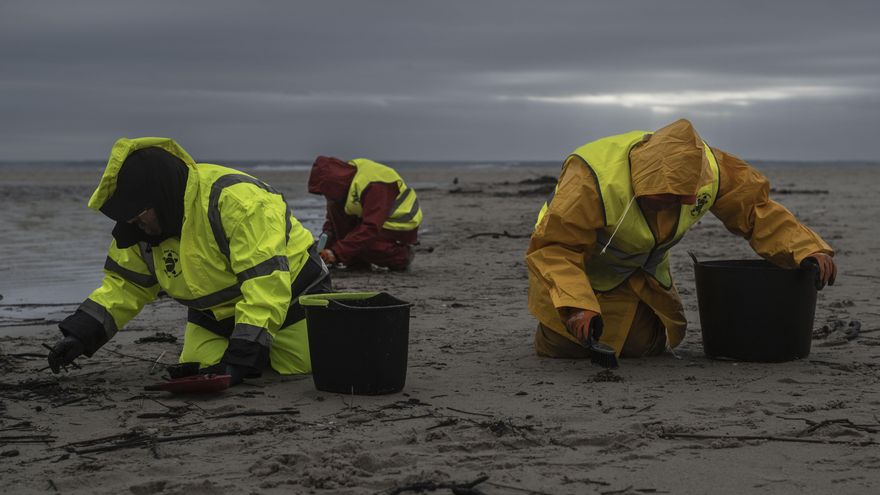 La campaña de las gallegas se cuela en el debate sobre la 'marea de pellets' en la Eurocámara