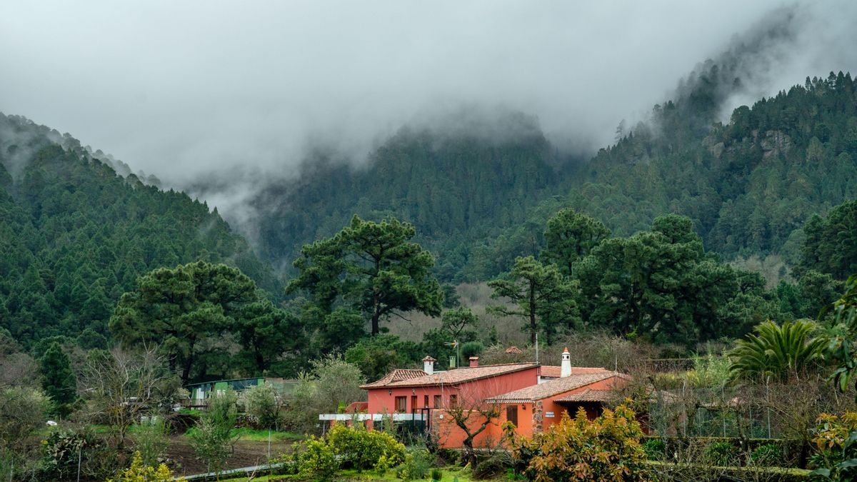 Canarias se prepara para la llegada de las lluvias: La Palma y Tenerife afrontan precipitaciones persistentes