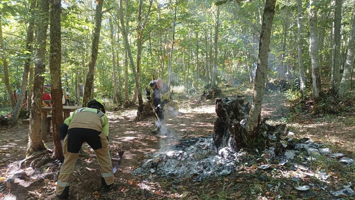 Arde la miniblioteca asentada en el recuperado y premiado Soto de Villar de los Barrios