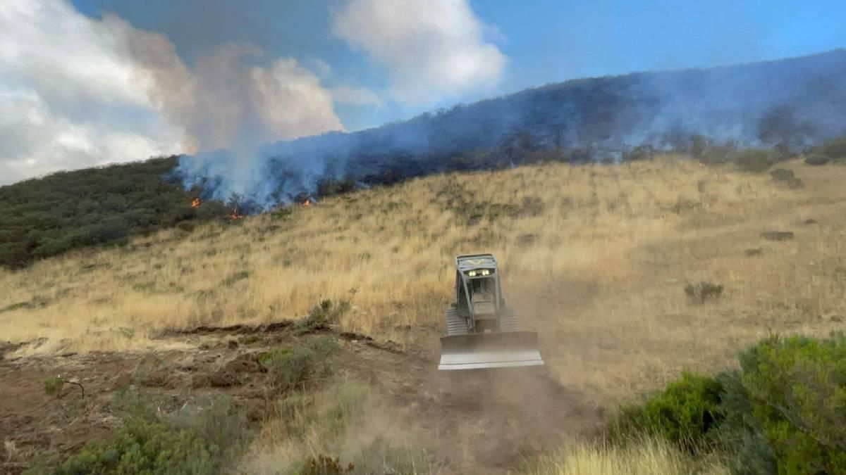 La Brigada Guzmán el Bueno X lucha contra el fuego en Castilla y León, en imágenes