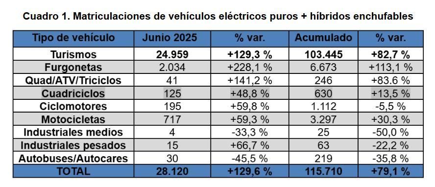 Desglose de entregas de vehículos electrificados.