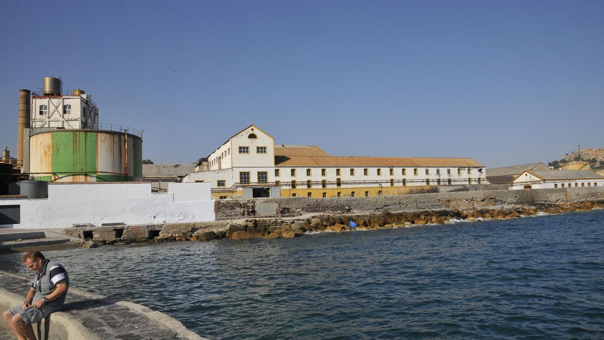 La azucarera granadina del siglo XIX olvidada por las administraciones pese a ser bien cultural desde hace una década