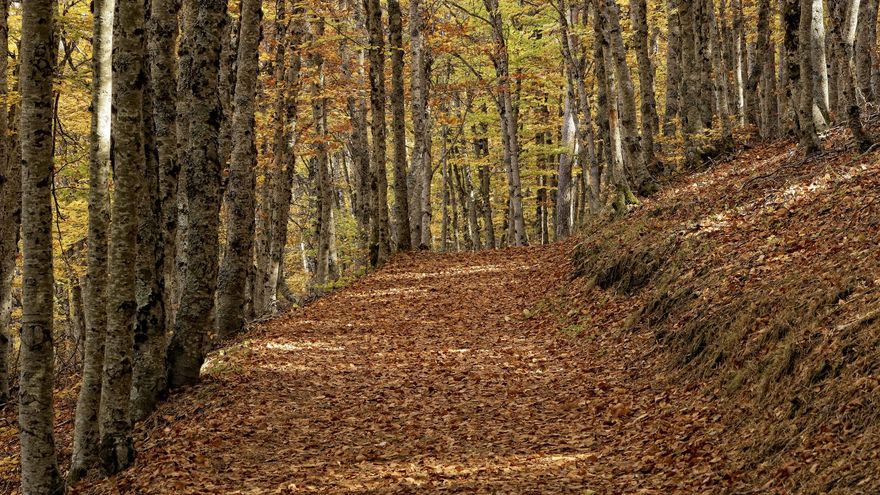 Un pueblo bonito perfecto para una visita de otoño que está en Guadalajara y cerca de Madrid