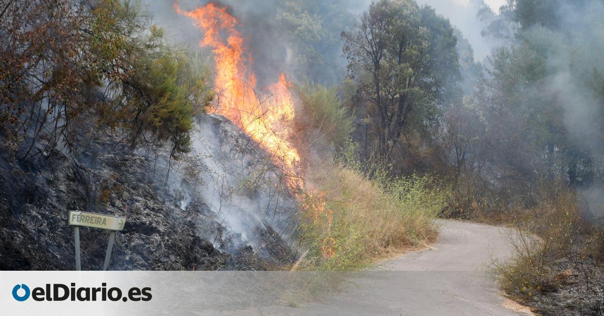 La Aemet confía en que el fin de la ola de calor ayude a controlar los incendios, pero pide no bajar la guardia