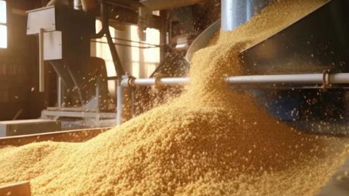 Mucosidades negras y tos por la “falta de protección” en una granja de insectos de Albacete: “Salimos fuera a respirar”