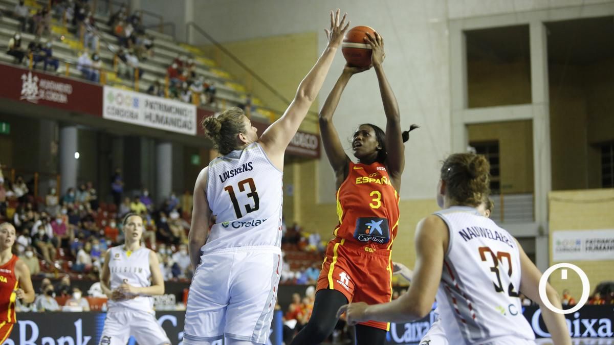 Las imágenes del España - Bélgica