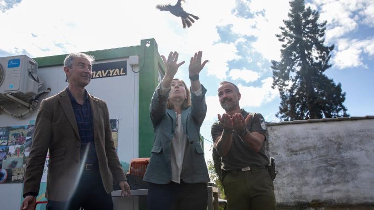 ¿Qué puedo hacer si encuentro un animal herido?: Ayúdale a volar, una segunda oportunidad para 520 animales en La Rioja