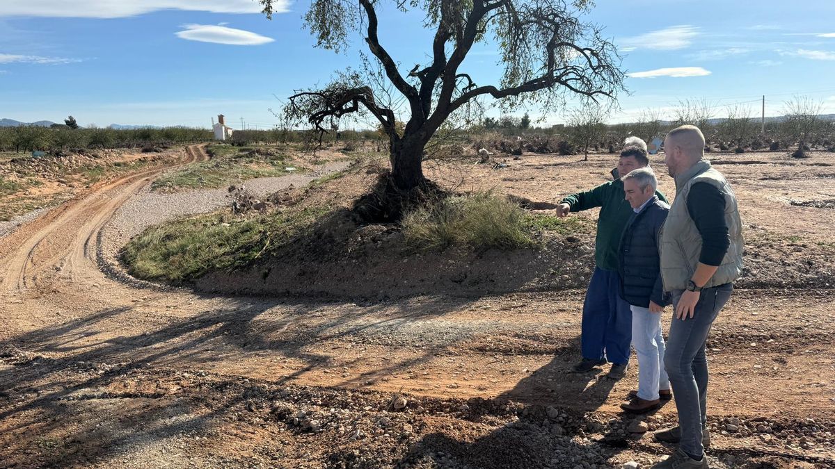 Visita a caminos rurales destrozados por la DANA en Utiel con nota de prensa el día 20 de noviembre.