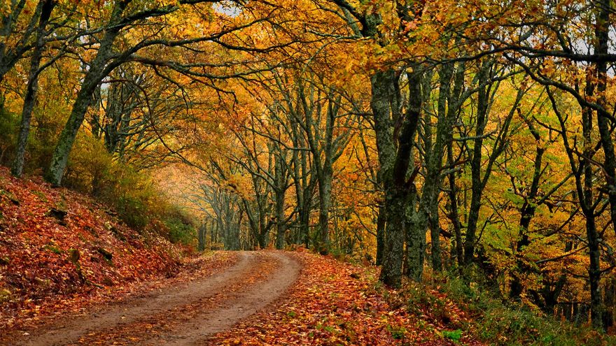 El Valle del Ambroz y el Jerte convierten el otoño en un rentable producto de desarrollo