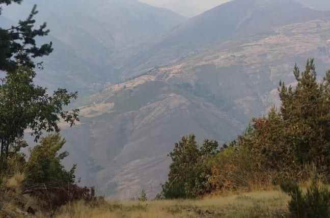 El paraje ahora incendiado minutos antes de las siete de la tarde del martes cerca de Colinas del Campo.