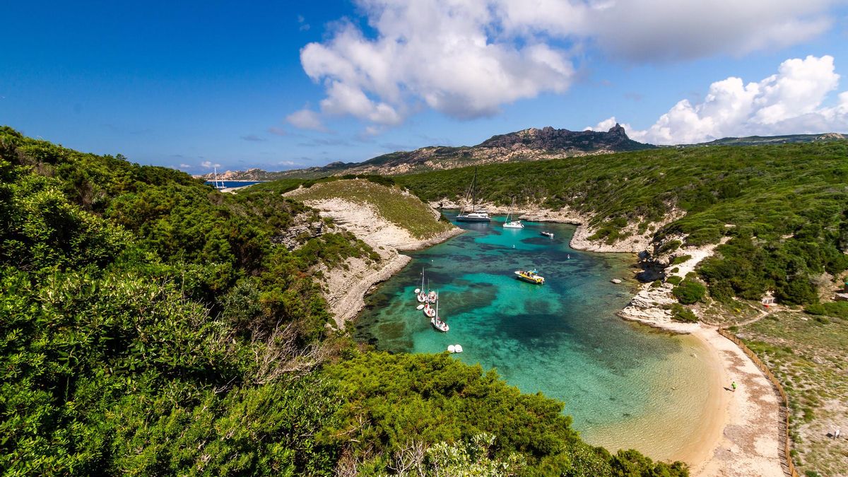Uno de los espacios más bonitos de la costa de Córcega: Playa de Fazii.