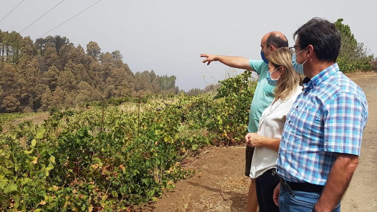 Visita de las autoridades a zonas agrarias afectadas por el fuego.
